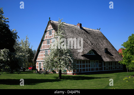 Altes Land, Altes Land, strohgedeckten alten Bauernhaus an der Este Deich, Niedersachsen, Deutschland Stockfoto