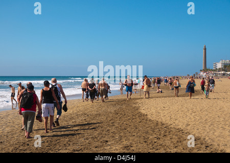 Playa de Maspalomas Strand Maspalomas Resort Gran Canaria Insel der Kanarischen Inseln-Spanien-Europa Stockfoto