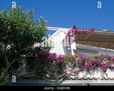 Villa in Anacapri auf der schönen Insel Capri im Golf von Neapel Stockfoto