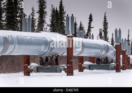 Alaska-Pipeline. Dalton Highway Haul Road, Coldfoot, Alaska. Stockfoto