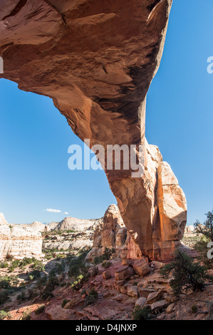 Hickman Bridge, Capitol Reef National Park, Utah, USA Stockfoto