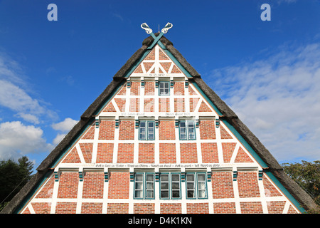 Altes Land, gerahmt Bauernhaus am Deich der Este in Jork-Koenigreich, Niedersachsen, Deutschland Stockfoto