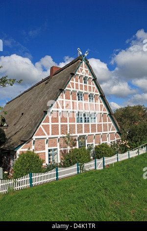 Altes Land, gerahmte Bauernhaus am Deich der Este in Jork-Koenigreich, Niedersachsen, Deutschland Stockfoto