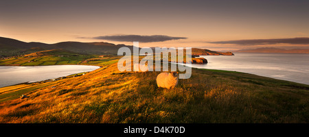 Schafe grasen auf Landschaft im ländlichen Raum Stockfoto