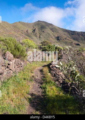 Ansicht des Pfades und der umgebenden Landschaft auf einer Wanderung entlang des Camino Real zwischen Santiago del Teide und Los Gigantes auf Teneriffa Stockfoto