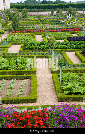 Teil der Renaissance-Küche-Garten in Villandry, Loiretal, Frankreich Stockfoto