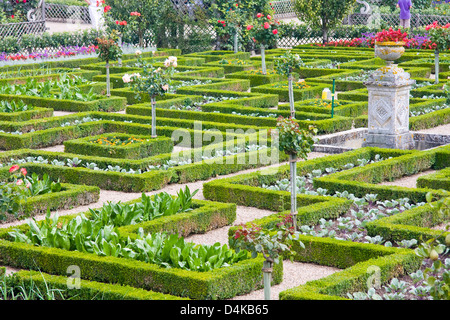 Teil der Renaissance-Küche-Garten in Villandry, Loiretal, Frankreich Stockfoto