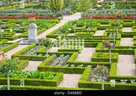 Teil der Renaissance-Küche-Garten in Villandry, Loiretal, Frankreich Stockfoto