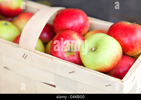 Frische Bio-Äpfel in einem Korb. Stockfoto