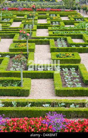 Teil der Renaissance-Küche-Garten in Villandry, Loiretal, Frankreich Stockfoto