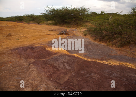 Landschaft in Sarigua Nationalpark, Herrera Provinz, Republik von Panama. Stockfoto