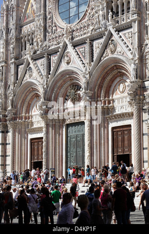 Siena, Italien, Touristen vor dem Dom von Siena Stockfoto