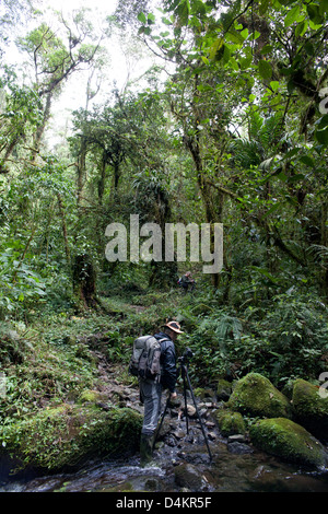 Outdoor Fotograf Øyvind Martinsen in La Amistad Nationalpark, Provinz Chiriqui, Republik Panama. Stockfoto