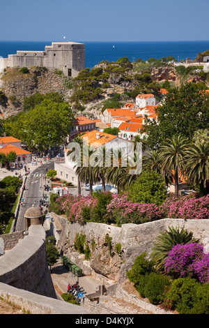 Blick über Dubrovnik, Kroatien Stockfoto