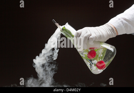 Wissenschaftler experimentieren mit Obst Stockfoto