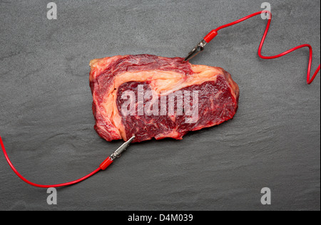 Fleisch an Elektroden angeschlossen Stockfoto