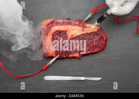 Wissenschaftler experimentieren auf Fleisch Stockfoto