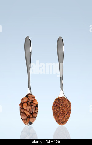 Kaffeebohnen und gemahlenen Kaffee auf stehenden Löffeln mit blauem Hintergrund Stockfoto
