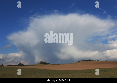 Cumulonimbus Capillatus Incus, in der Nähe von Meschede, Hochsauerlandkreis, Nrw, Deutschland Stockfoto