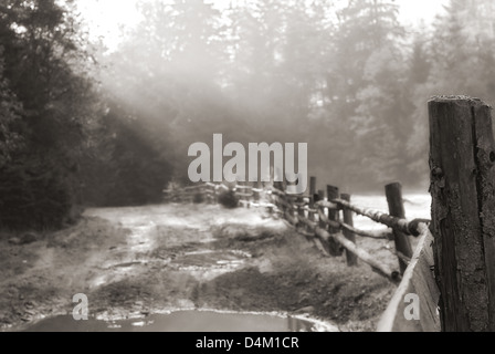 Zaun in der Nähe von Straße im Morgennebel Stockfoto