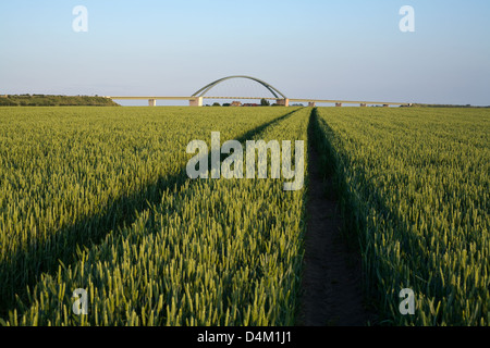 Der Fehmarn Sund Brücke bei Strukkamphuk Strukkamphuk, Deutschland Stockfoto