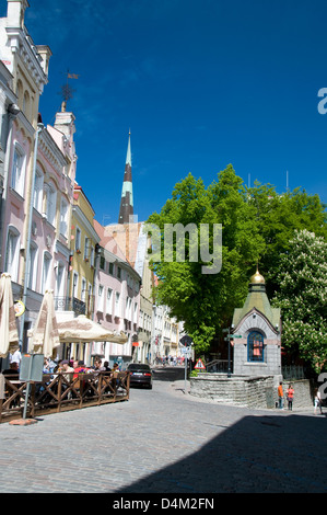 Besucher genießen die Sonne in einem der vielen Cafés im Freien in Pikk und Olevimagi in der Altstadt von Tallinn, Tallinn, Estland Stockfoto