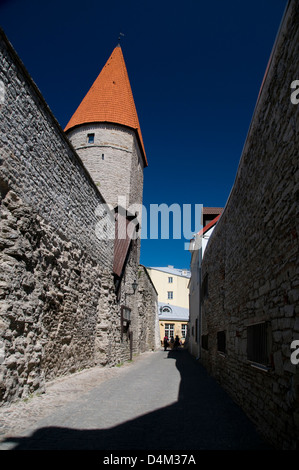 Epping Tower in einer engen gepflasterten Steinstraße, Laboratoonriumi in der Altstadt von Tallinn, Tallinn, Estland., Baltische Staaten. Stockfoto