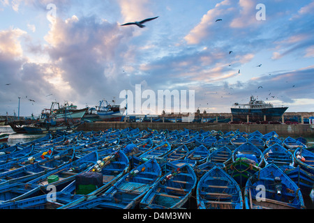 Vögel fliegen über Boote im städtischen Hafen Stockfoto