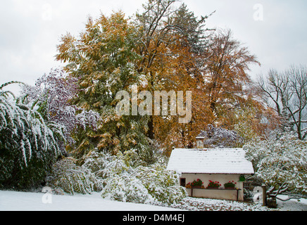 Haus und Bäume in Schneelandschaft Stockfoto