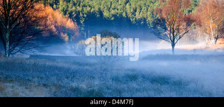 Nebel über Sherbrooke Tal im Herbst Cannock Chase Country Park AONB (Gebiet von außergewöhnlicher natürlicher Schönheit) in Staffordshire Stockfoto