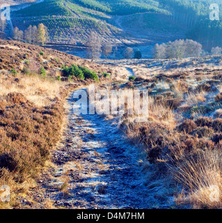 Frostigen sehr kalten Ende Herbst Pfad zu Sherbrooke Tal Cannock Chase Country Park AONB (Gebiet von außergewöhnlicher natürlicher Schönheit) in St. Stockfoto