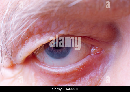 alte Mann Gesicht Teil Nahaufnahme Auge schaut in die Kamera Stockfoto