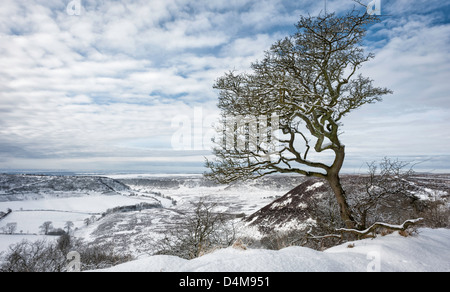 Schnee über das Loch des Horcum in North York Moors Nationalpark zwischen Levisham und Goathland in North Yorkshire, Großbritannien Stockfoto