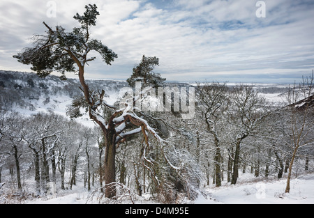 Schnee über das Loch des Horcum in North York Moors Nationalpark zwischen Levisham und Goathland in North Yorkshire, Großbritannien Stockfoto