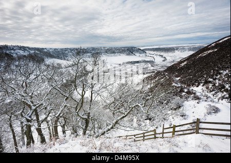 Schnee über das Loch des Horcum in North York Moors Nationalpark zwischen Levisham und Goathland in North Yorkshire, Großbritannien Stockfoto