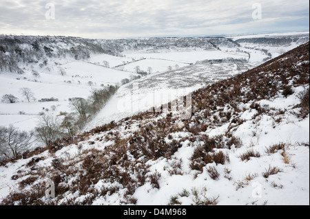 Schnee über das Loch des Horcum in North York Moors Nationalpark zwischen Levisham und Goathland in North Yorkshire, Großbritannien Stockfoto