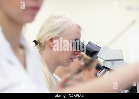 Tallinn, Estland, Unterricht in der Lebensmitteltechnologie an der technischen Universität Tallinn Stockfoto