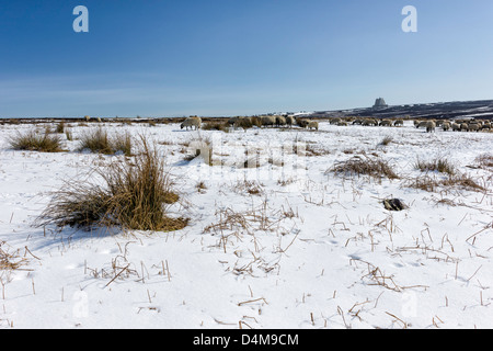 Blick auf verschneite Moorlandschaft, Schafe, in North York Moors National Park in der Nähe von Dorf Goathland in North Yorkshire. Stockfoto