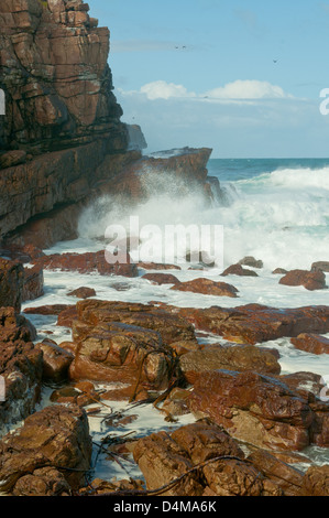 Kap der guten Hoffnung, Western Cape, Südafrika Stockfoto