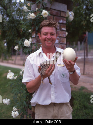 Ranger halten Strauß Küken und Ei im Cango Ostrich Show Farm, Oudtshoorn, Provinz Western Cape, Südafrika Stockfoto