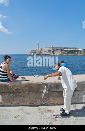 Havanna, Kuba, Fischer am Malecon Stockfoto