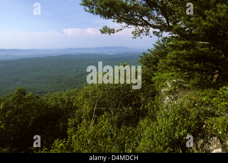 Kahle Felsen, Cheaha State Park, Alabama Stockfoto