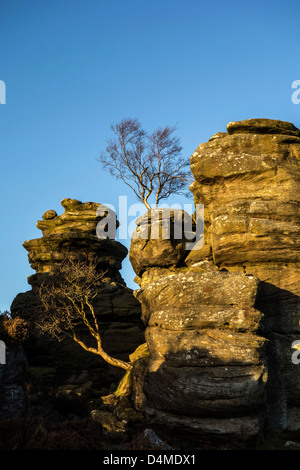 Brimham Rocks in der Nähe von Ripon, Nordyorkshire. Stockfoto