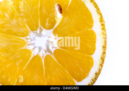 Orangenscheibe Makro Nahaufnahme Stockfoto