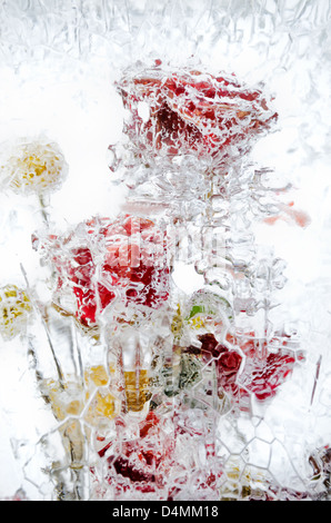 frische Blumen in einem Eisblock eingefroren Stockfoto