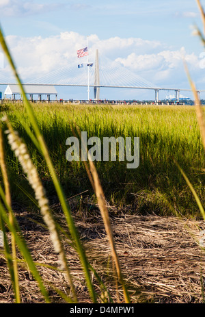 Der Pier und New Cooper River Bridge aus dem Schilf des umliegenden Sumpf gesehen. Charleston, South Carolina Stockfoto