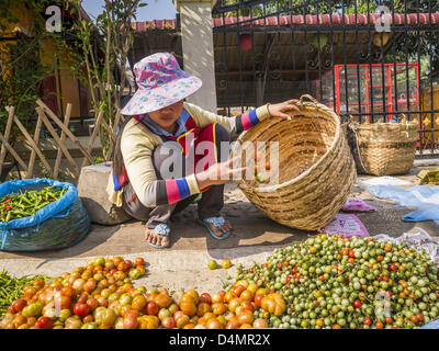 11. März 2013 - Luang Prabang, Luang Prabang, Laos - Anbieter auf dem Markt in Luang Prabang, Laos, sortiert Tomaten hat sie zu verkaufen. (Bild Kredit: Jack Kurtz/ZUMAPRESS.com ©) Stockfoto