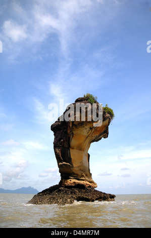 Riesenmeer-Stack oder Balanced Rock im Bako National Park Sarawak Borneo Malaysia Stockfoto