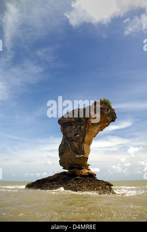 Riesenmeer-Stack oder Balanced Rock im Bako National Park Sarawak Borneo Malaysia Stockfoto