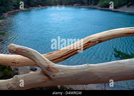 Lochan Uaine, das Grün Loch in Glenmore Forest, in die Cairngorms National Park, in der Nähe von Aviemore, Inverness-Shire. Stockfoto